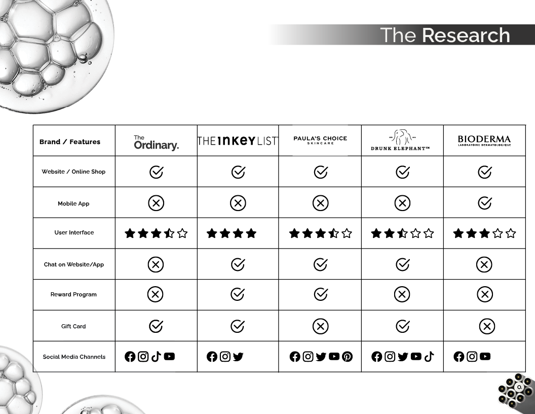 The Ordinary Case Study Document Pg7